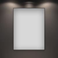 Влагостойкое зеркало Wellsee 7 Rays' Spectrum 172200680, 70 х 90 см